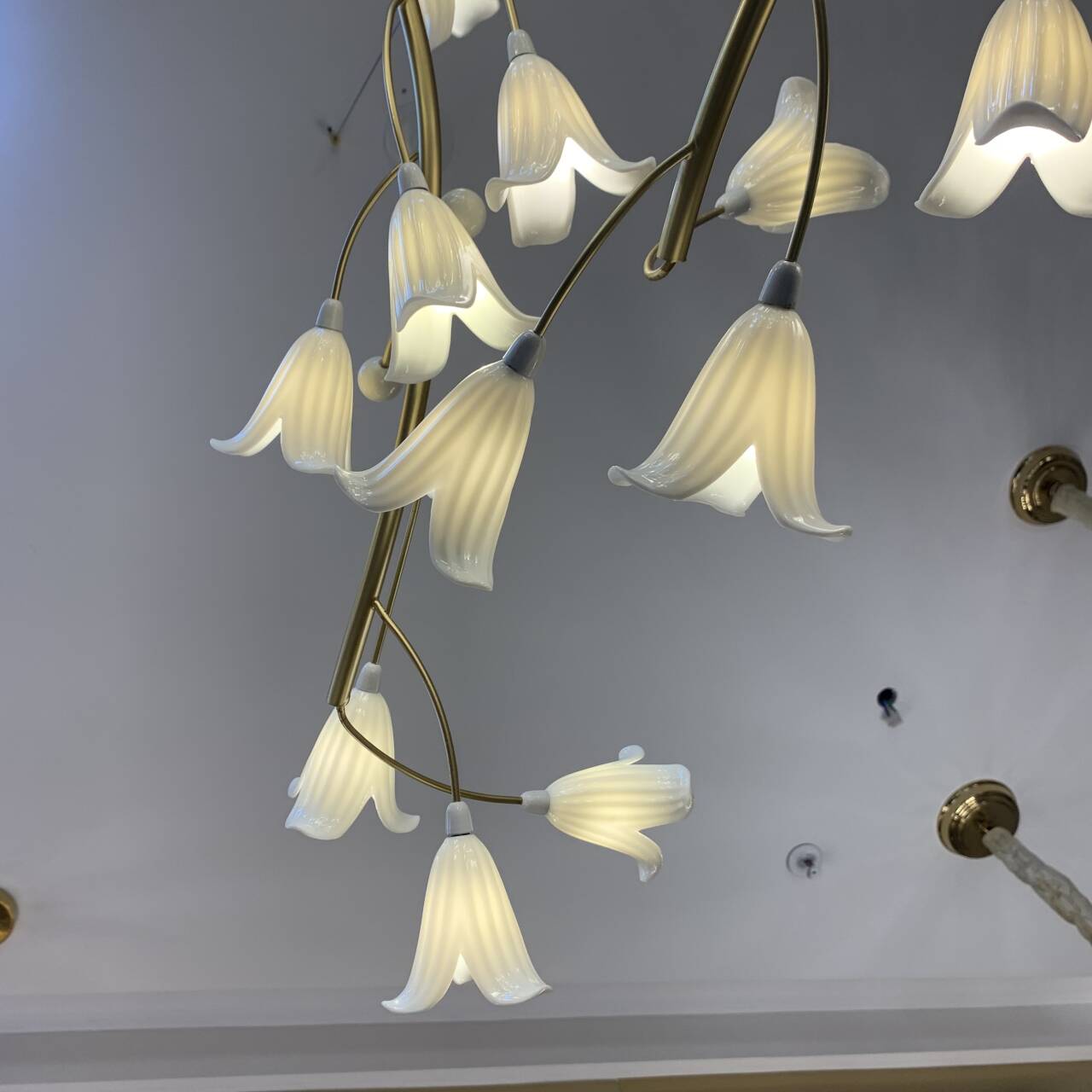 Luster Gaze Botanical Bloom Brass Ceramic Chandelier - Background Shot