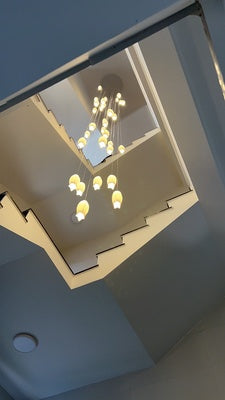 Elegant Flower Chandelier For Foyer/ Staircase