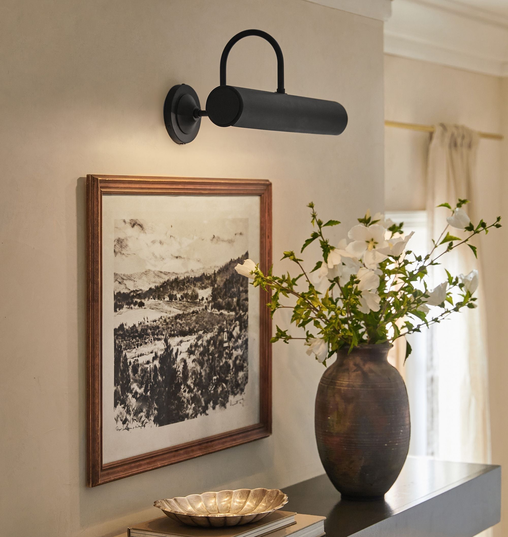 Dolly Bent Picture Light