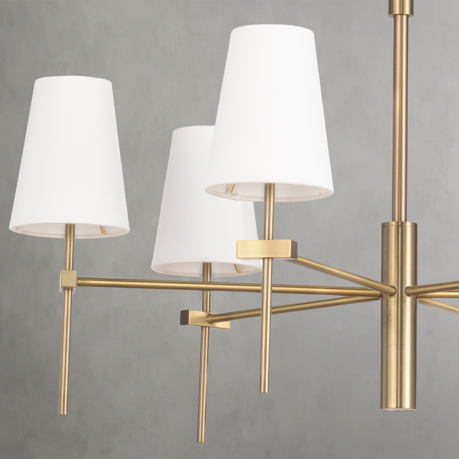 Luster Gaze Veridian Grand 6-Light Chandelier - Background Shot