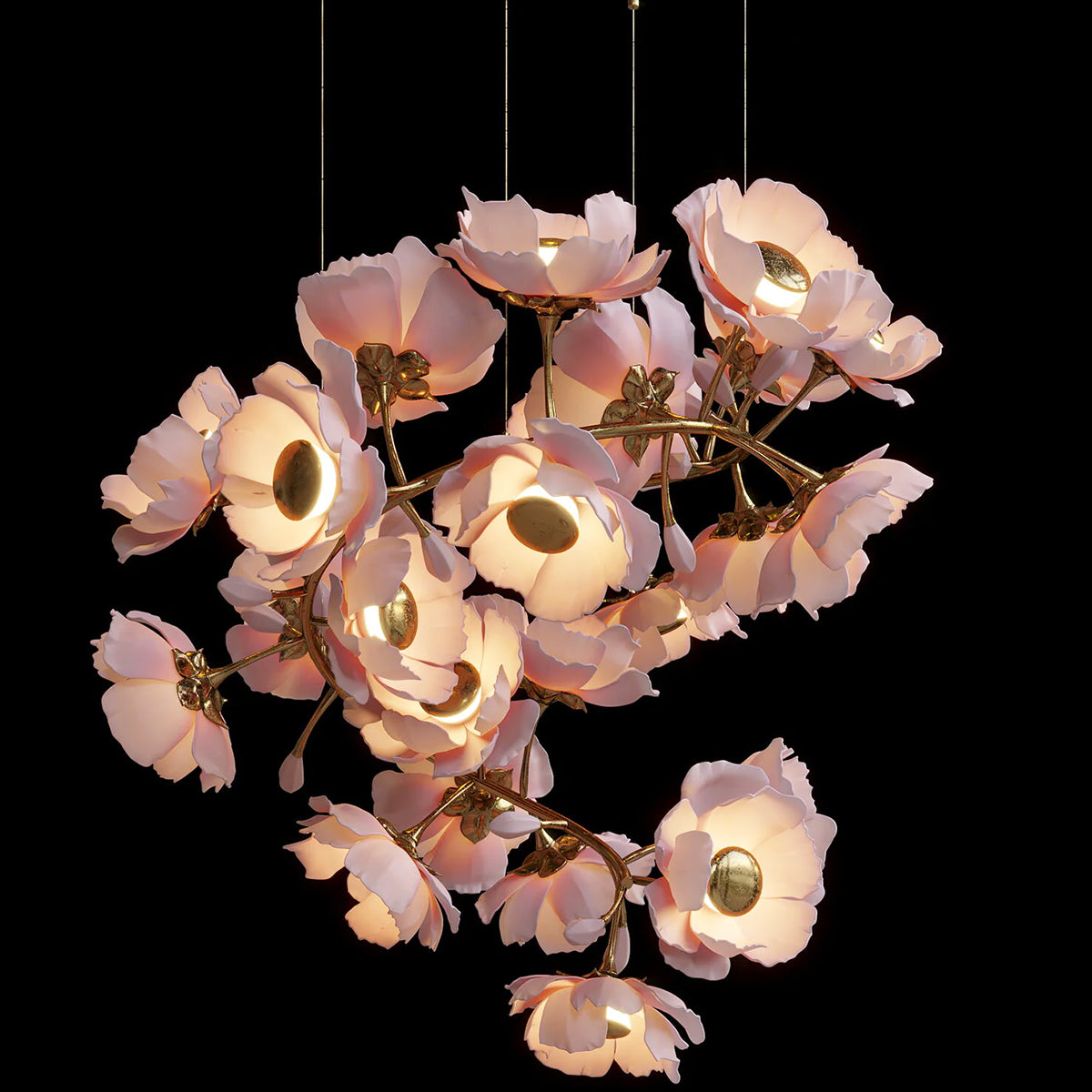 Camellia C