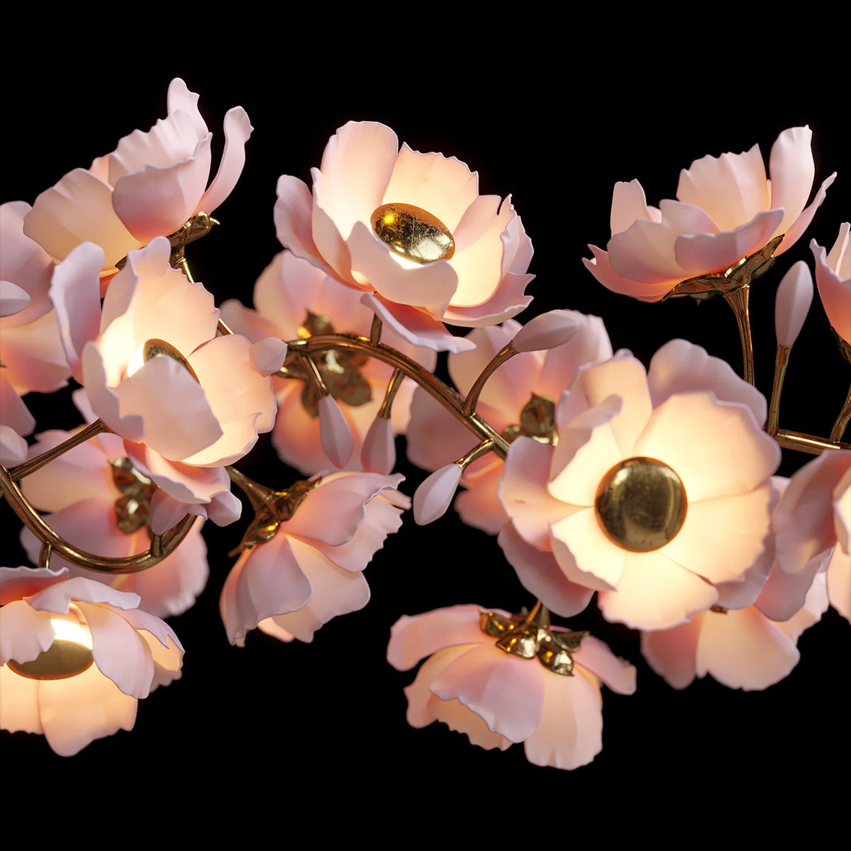 Camellia C