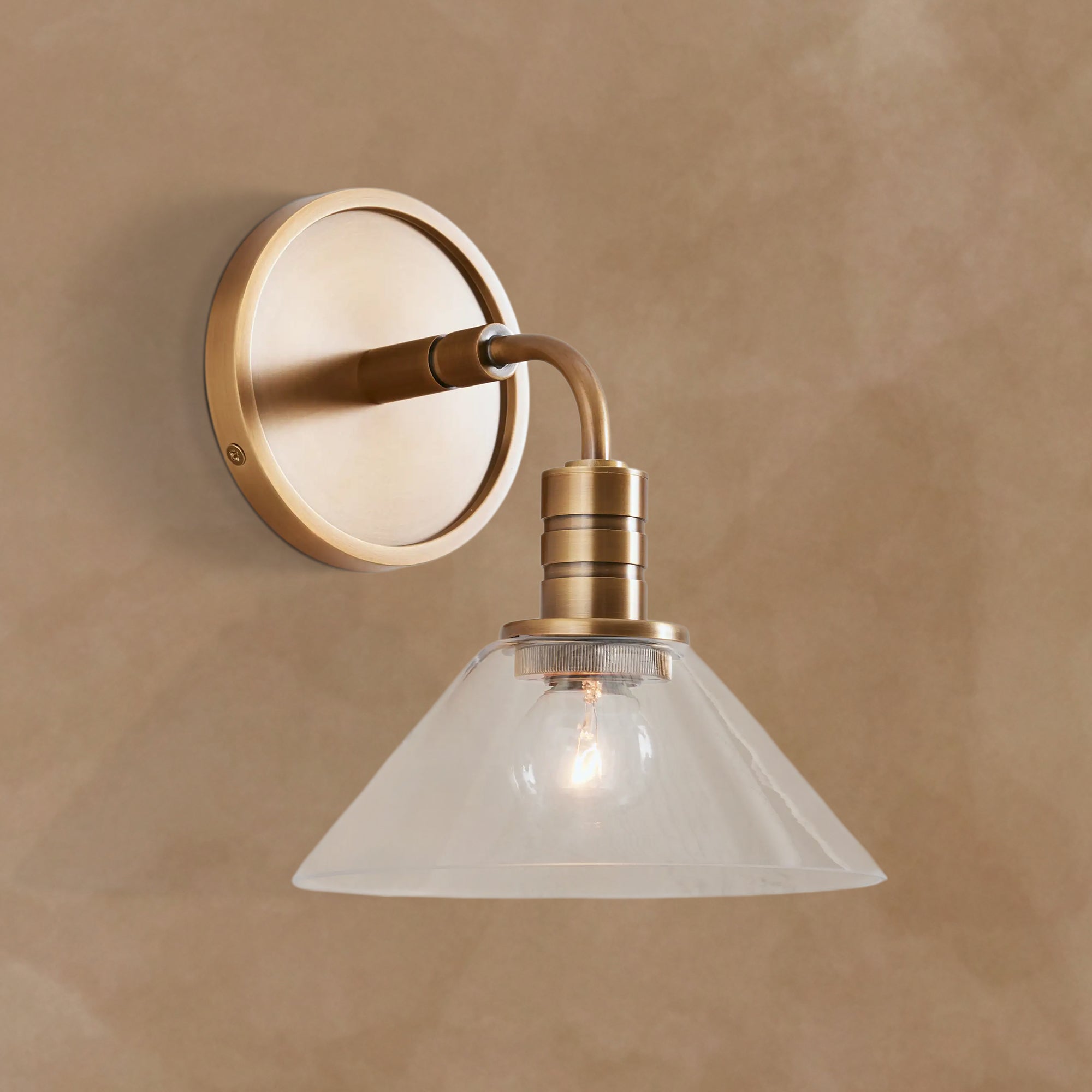 Theron Single Wall Sconce Modern Wall Light