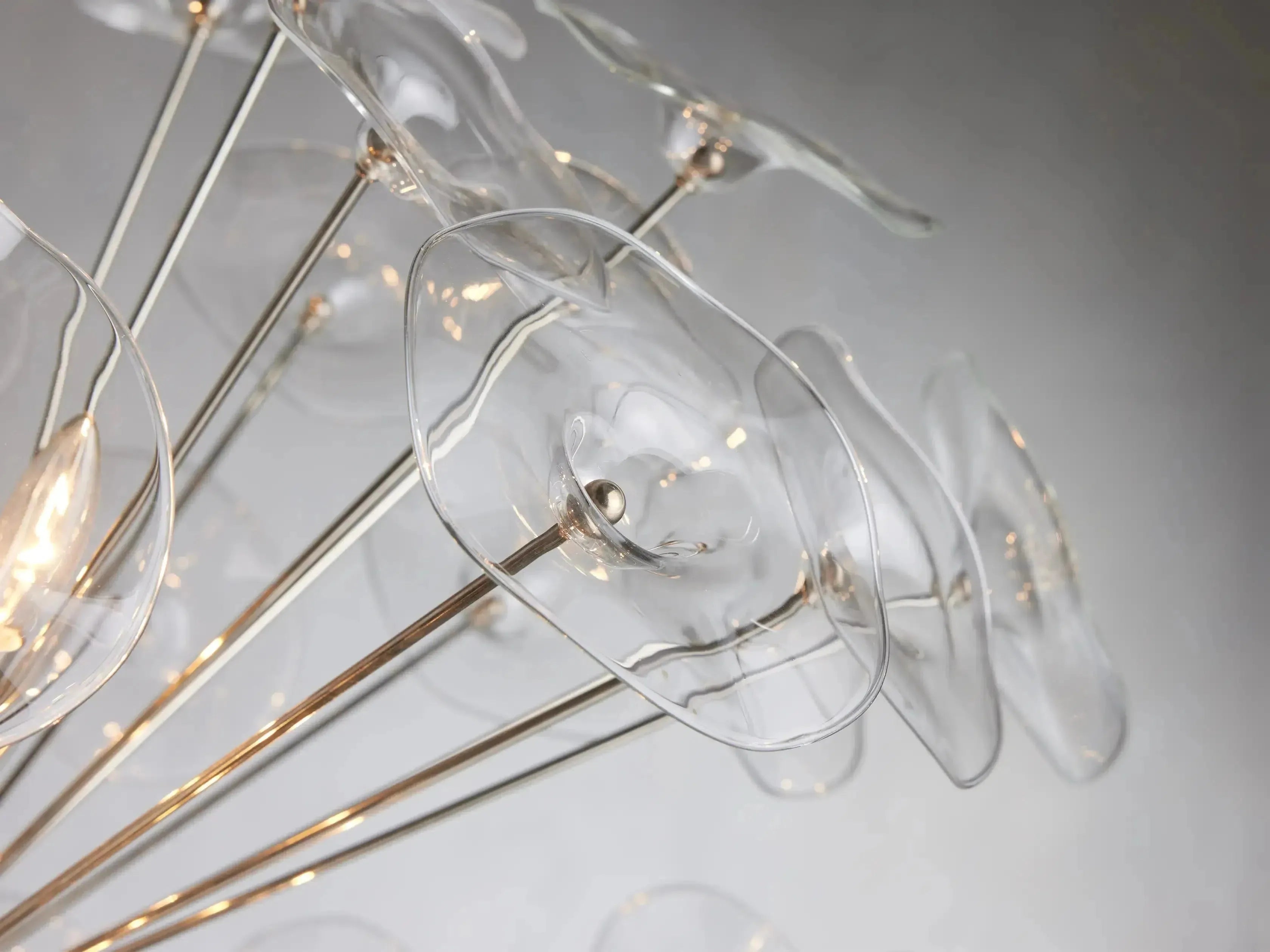 Luster Gaze Bloom Radiance Round Chandelier - Background Shot