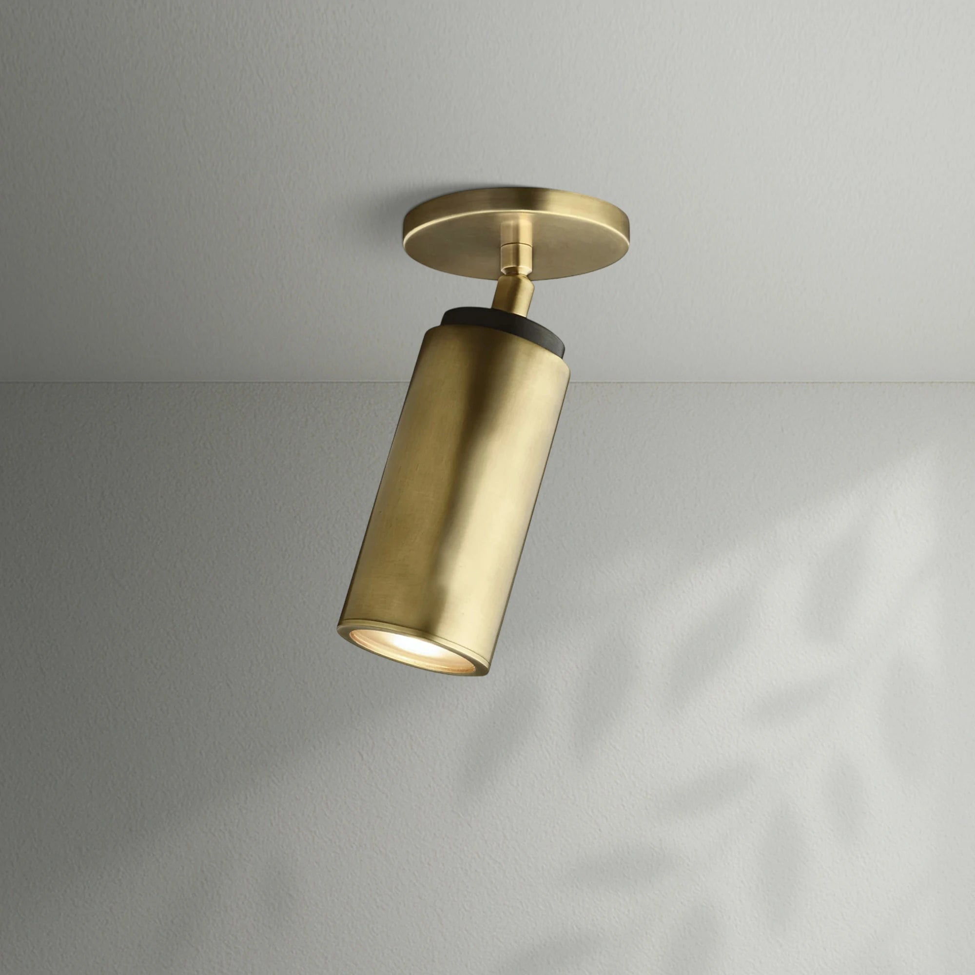 Champeaus Pivoting Flushmount