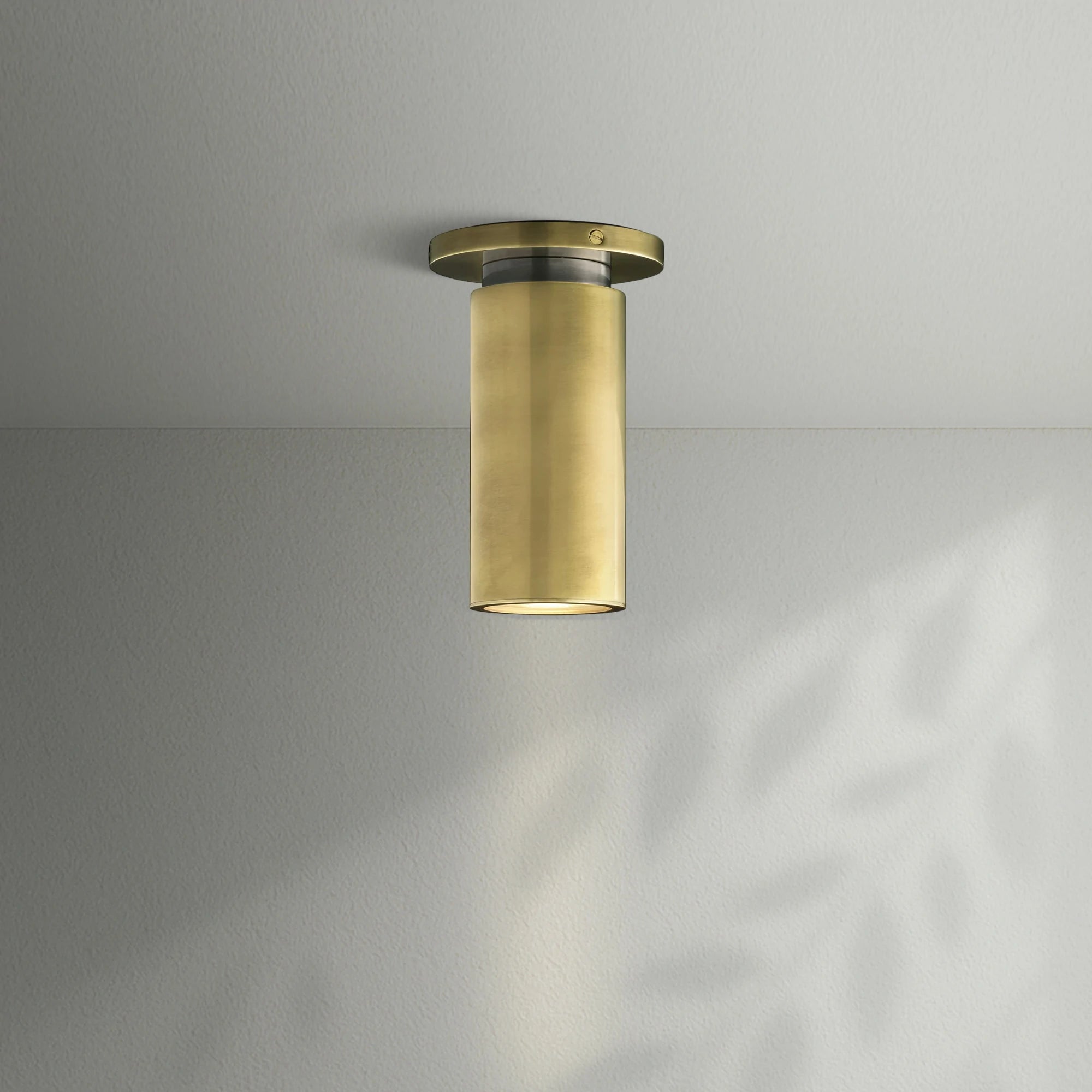 Champeaus Flushmount