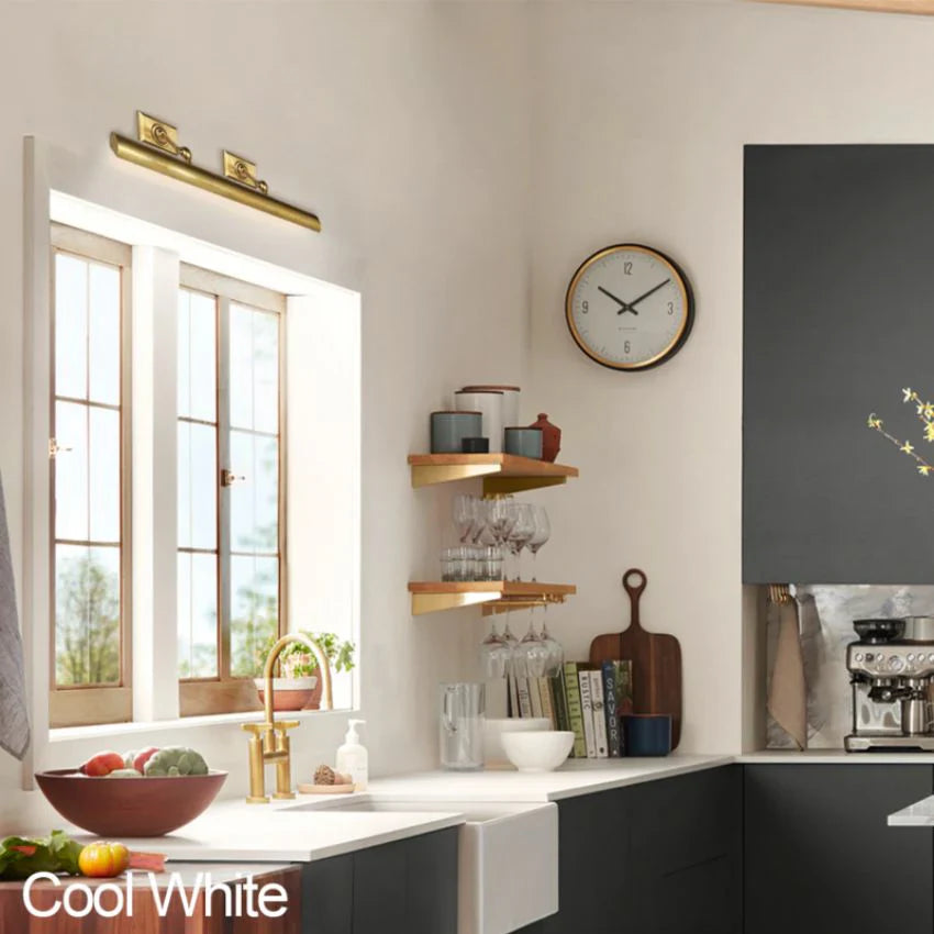 Aria Brass Picture Light