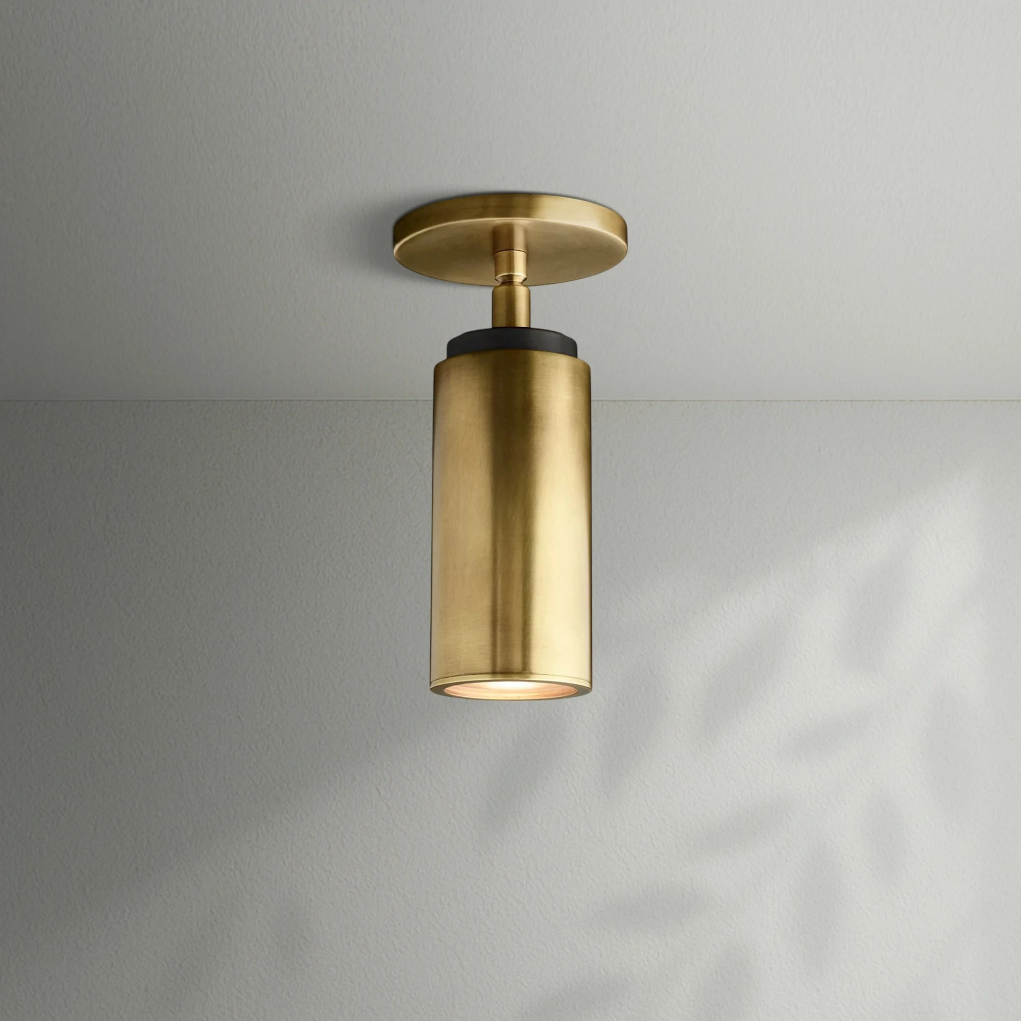 Champeaus Pivoting Flushmount