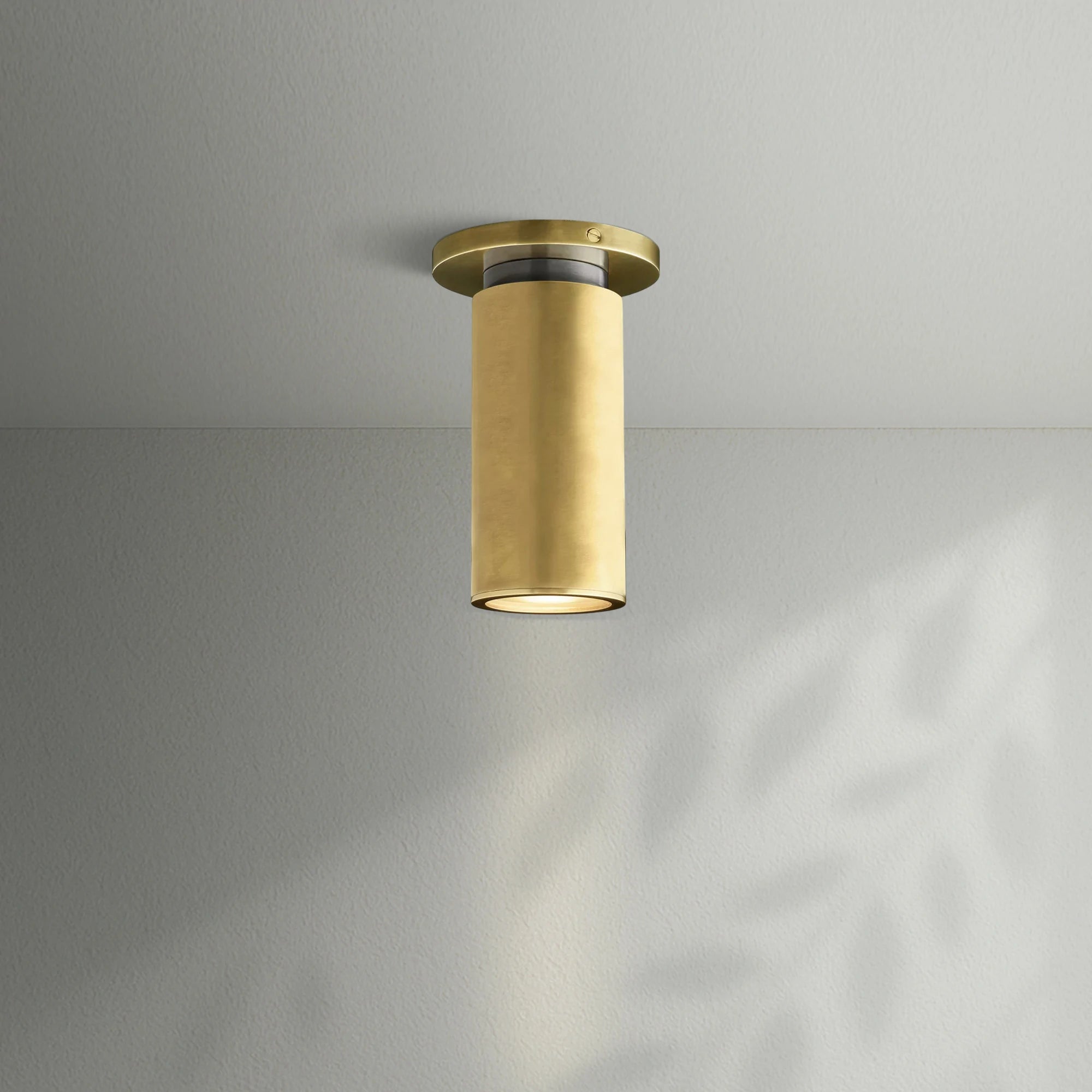 Champeaus Flushmount